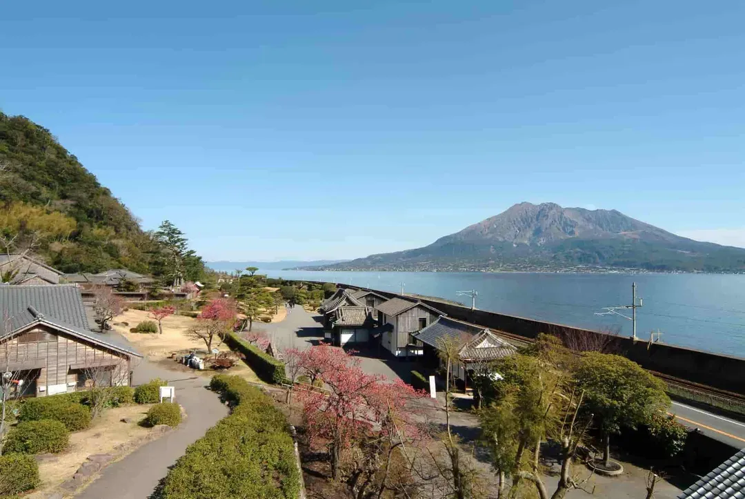 仙巖園(公益社團法人鹿兒島縣觀光聯盟提供)-仙巖園
