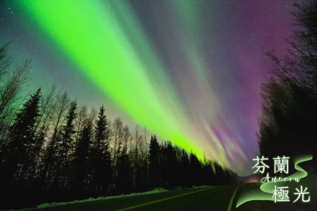 吉羊喜迎春