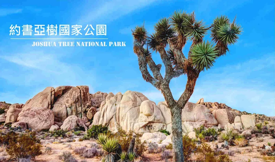 約書亞樹國家公園