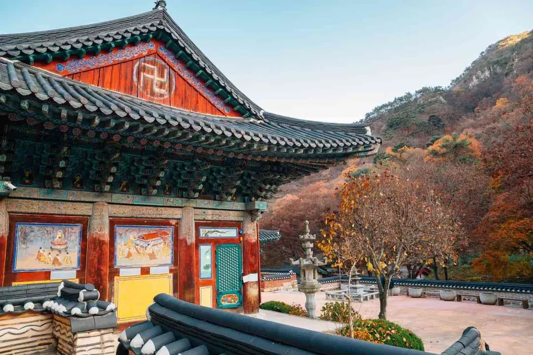 雞龍山(賞楓)