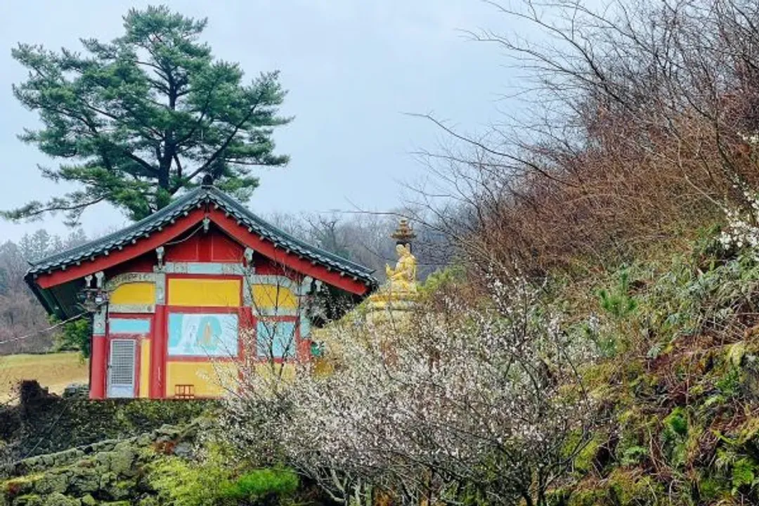 漢拏山觀音寺-漢拏山、觀音寺(賞楓)：韓劇《非常律師禹英禑》拍攝地