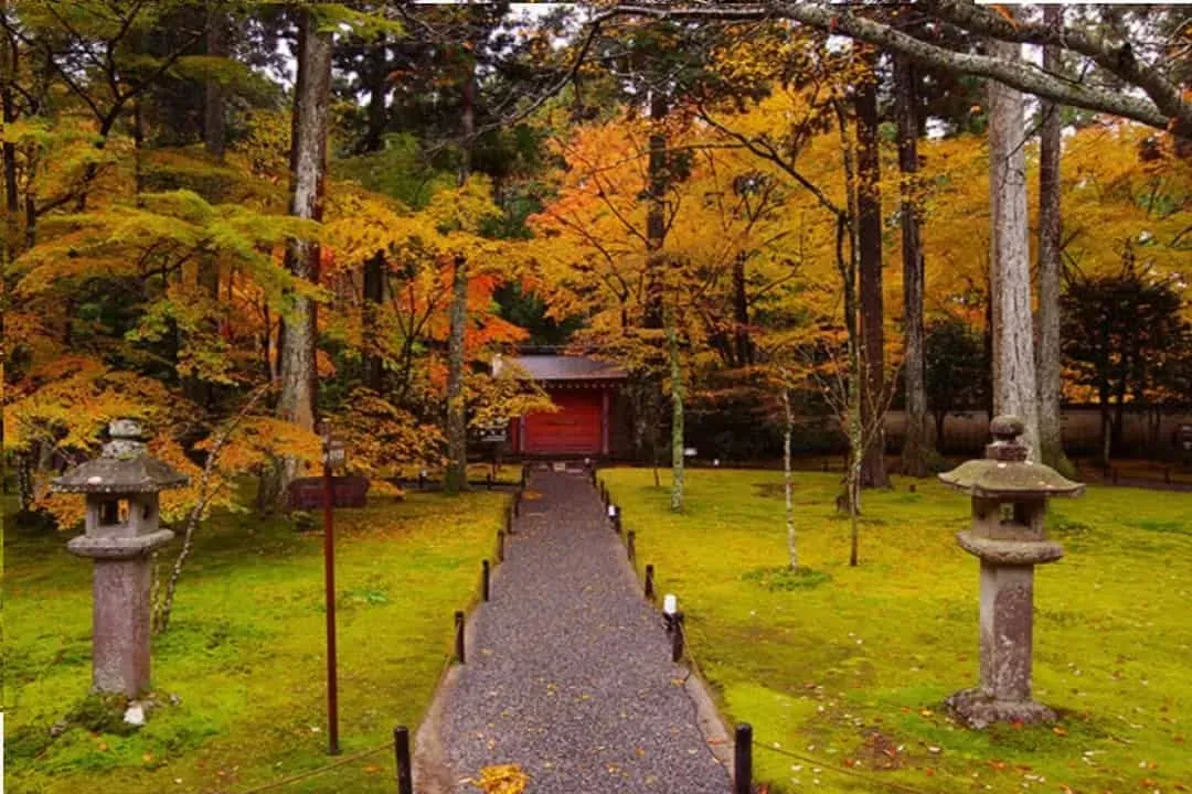 賞楓紅葉名所