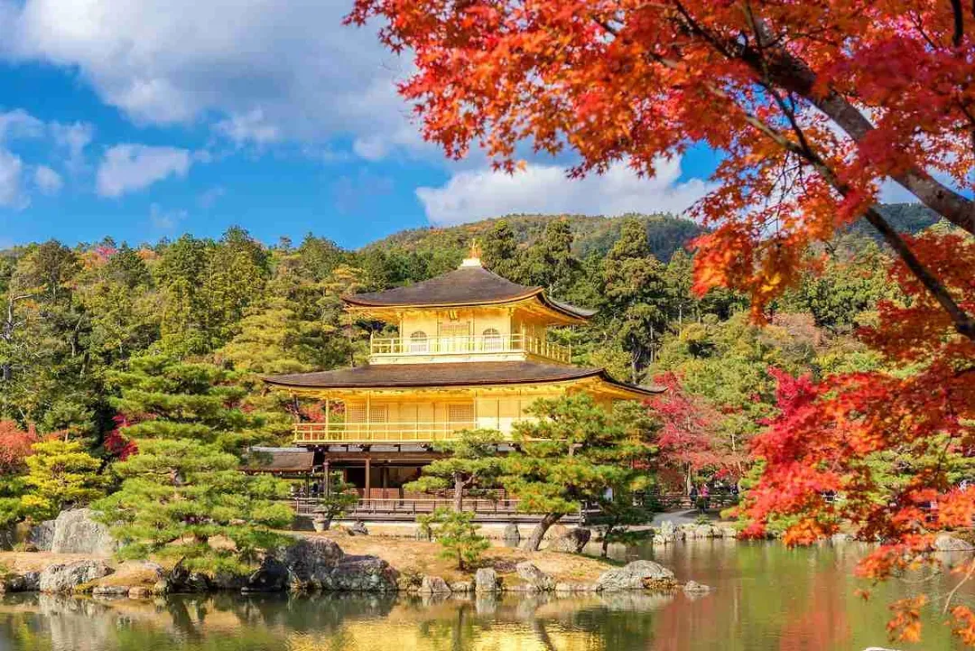 TXG關西深秋楓紅～日本環球影城、世界文化遺產、四都京阪神奈、黑毛和牛吃到飽五日