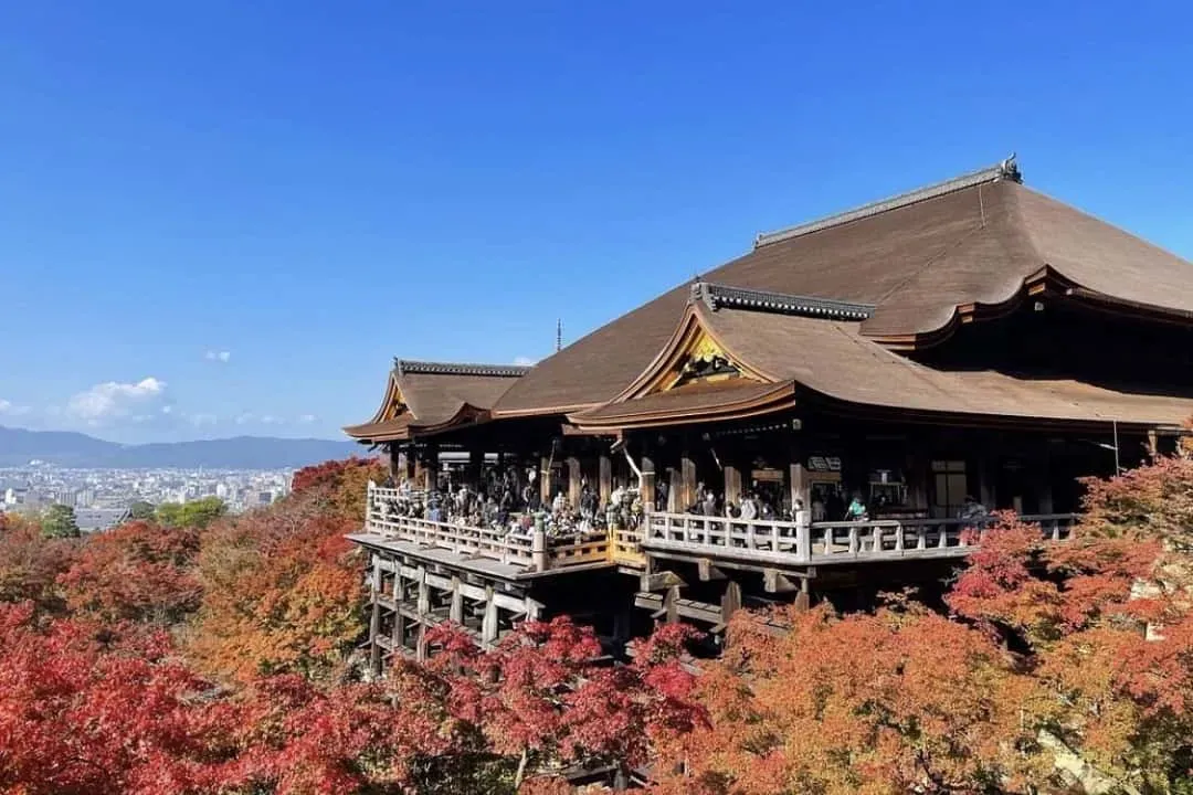 清水寺_IG:jukidayo授權-京都最愛風情