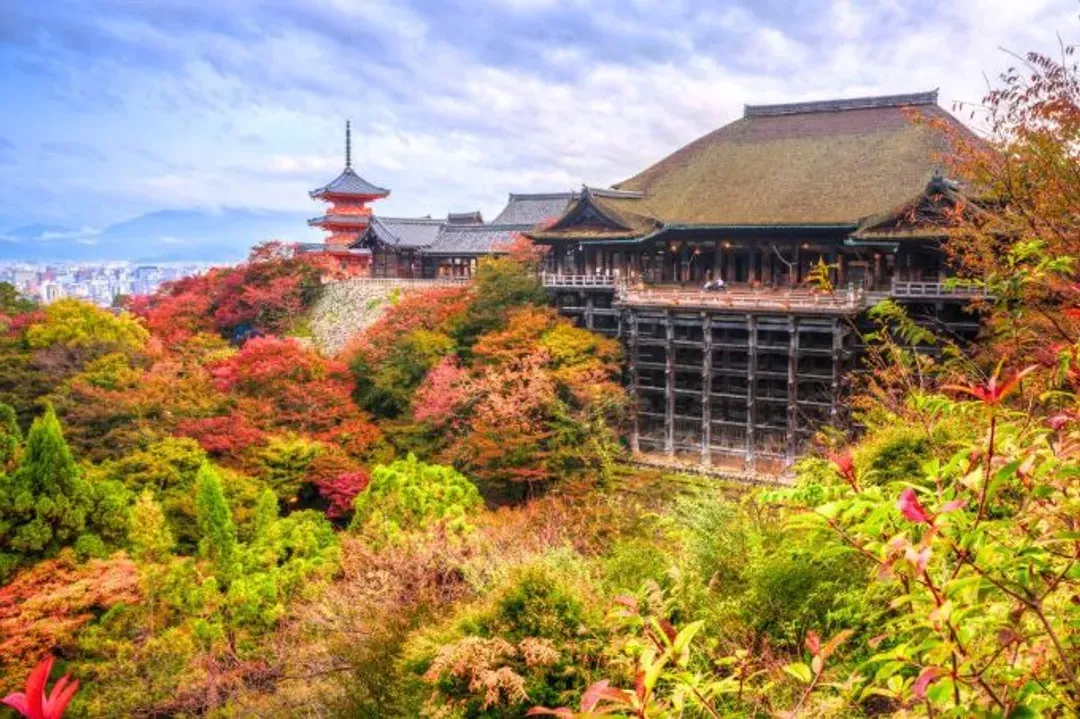 京都最愛風情