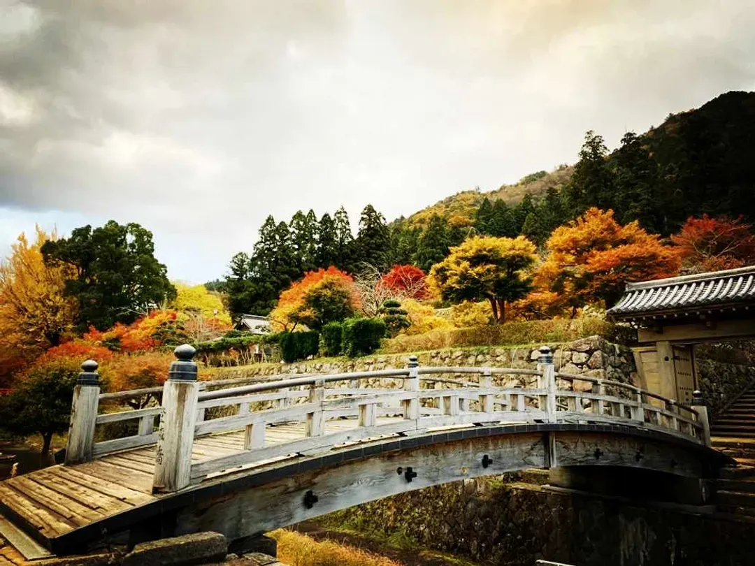 TXG關西紅葉秘境～立雲峽竹田城、美山町合掌村、伊根灣遊覽船、兩晚溫泉饗宴五日-10