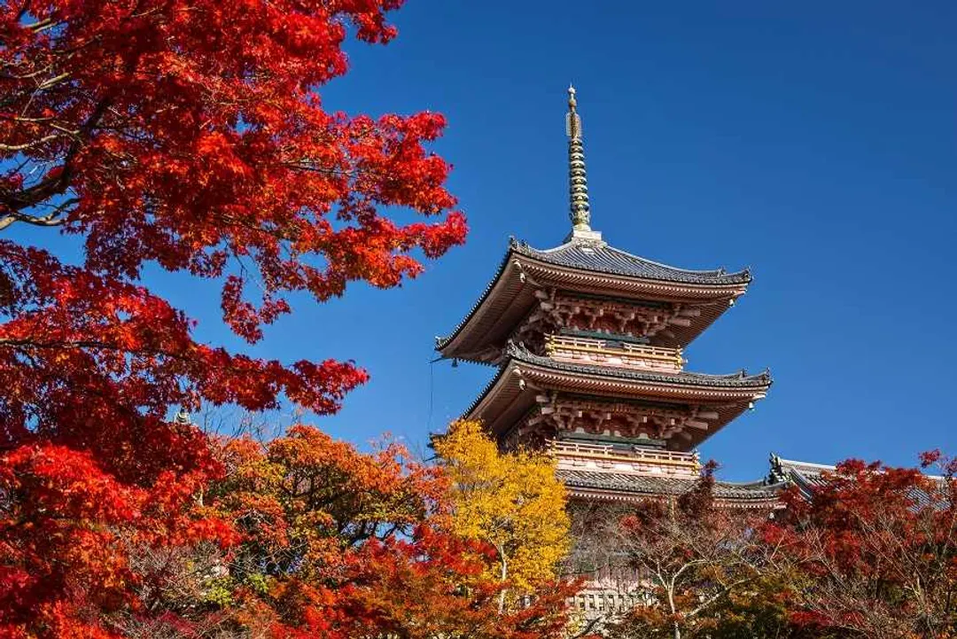 京都最愛風情