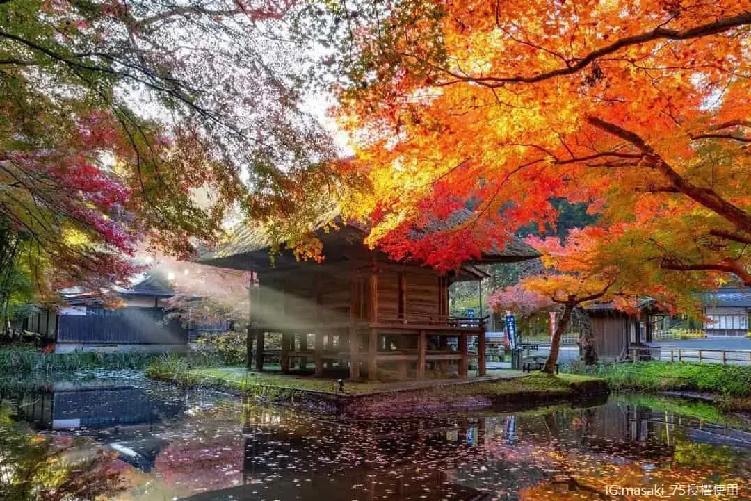 中尊寺(賞楓;世界遺產)