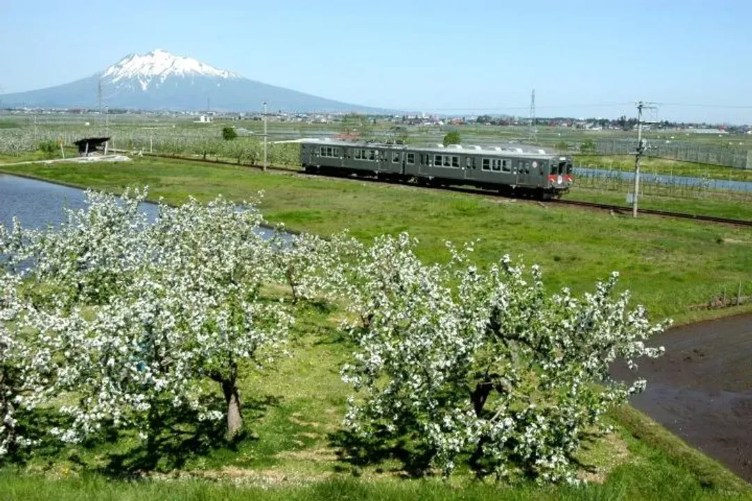 東北、秋詩篇篇～奧入瀨森林浴、弘前城楓紅、猊鼻溪輕舟遊、青森蘋果鐵道六日