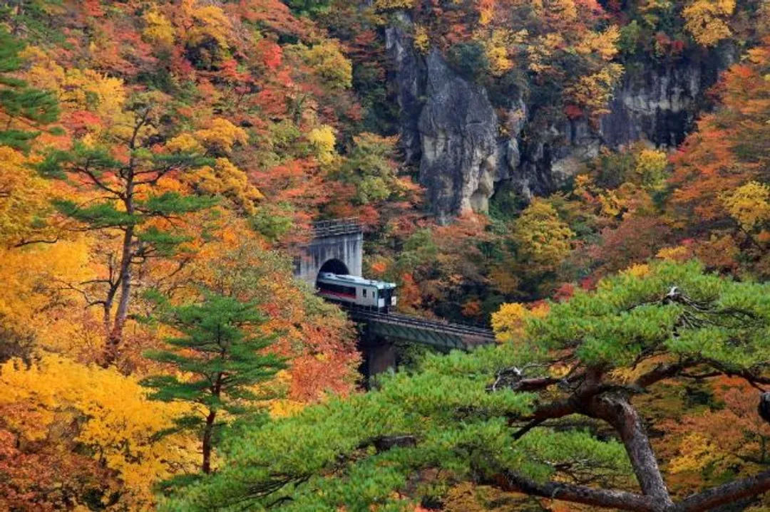 鳴子峽、十和田湖(賞楓)