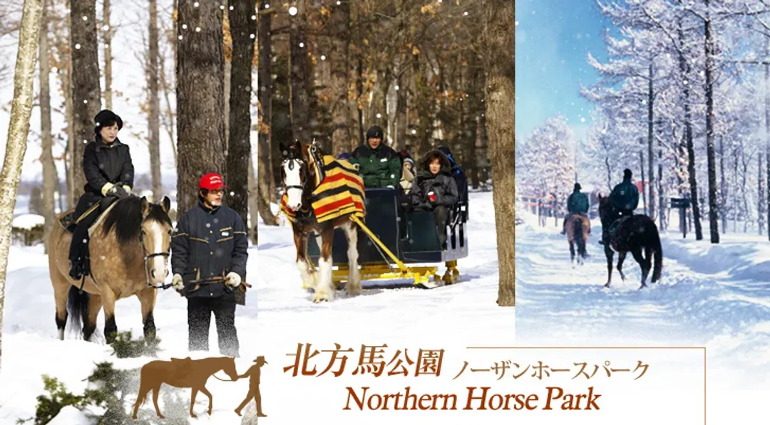 北海道旅遊｜冬季雪盆戲雪.札幌白色燈樹節.函館夜景.企鵝遊行.騎馬體驗.浪漫小樽.三大螃蟹六日｜三晚溫泉