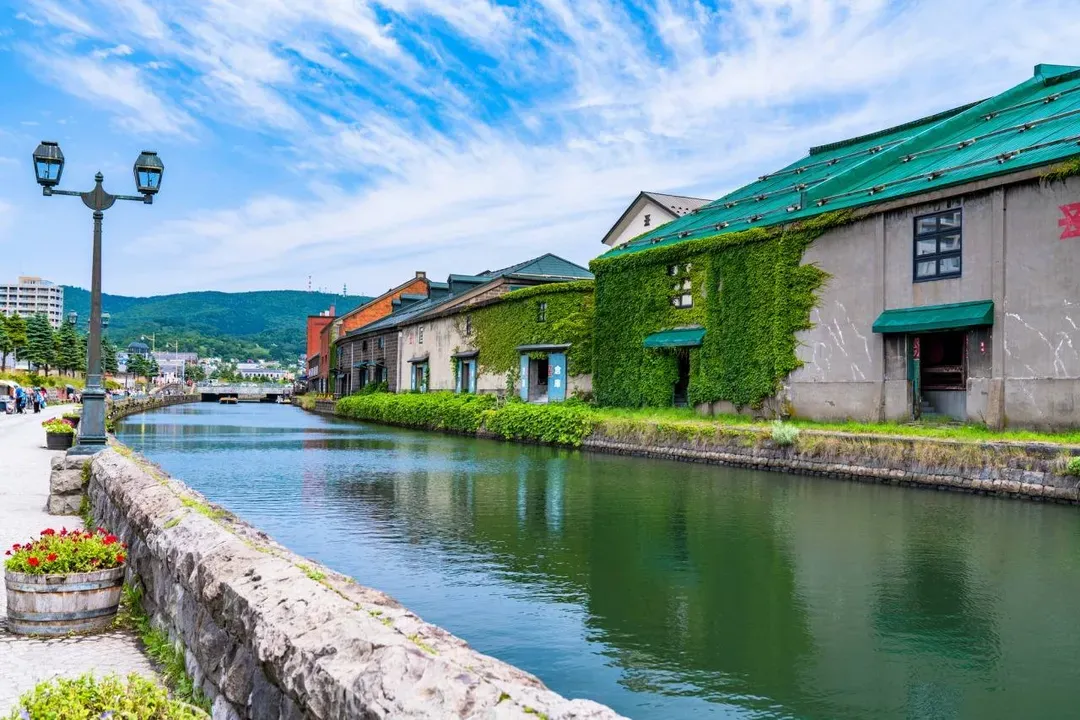 北海道旅遊│保住大倉日航.熊牧場.企鵝遊行.函館纜車.浪漫小樽.螃蟹溫泉五日│保住四晚溫泉-6