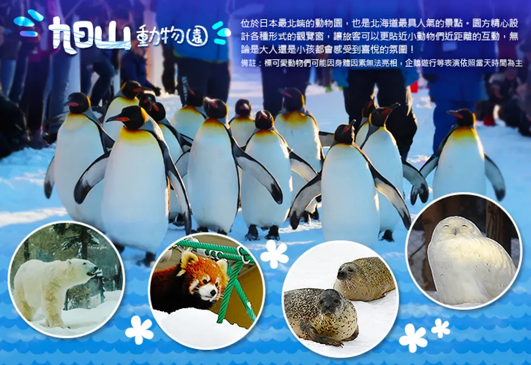 undefined-1