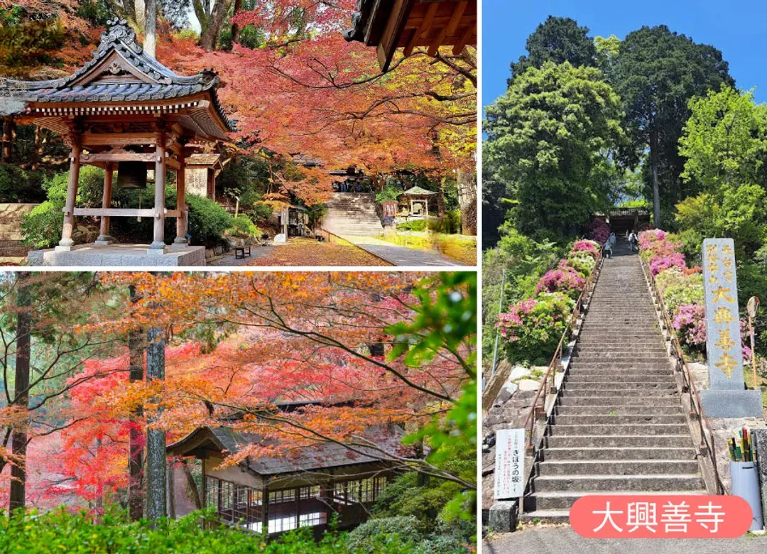 楓遊元氣九州5日.御船山樂園.大興善寺.環境藝術之森.寶満宮竈門神社.耶馬溪.湯布院金鱗湖.別府溫泉(大分進佐賀出)-6