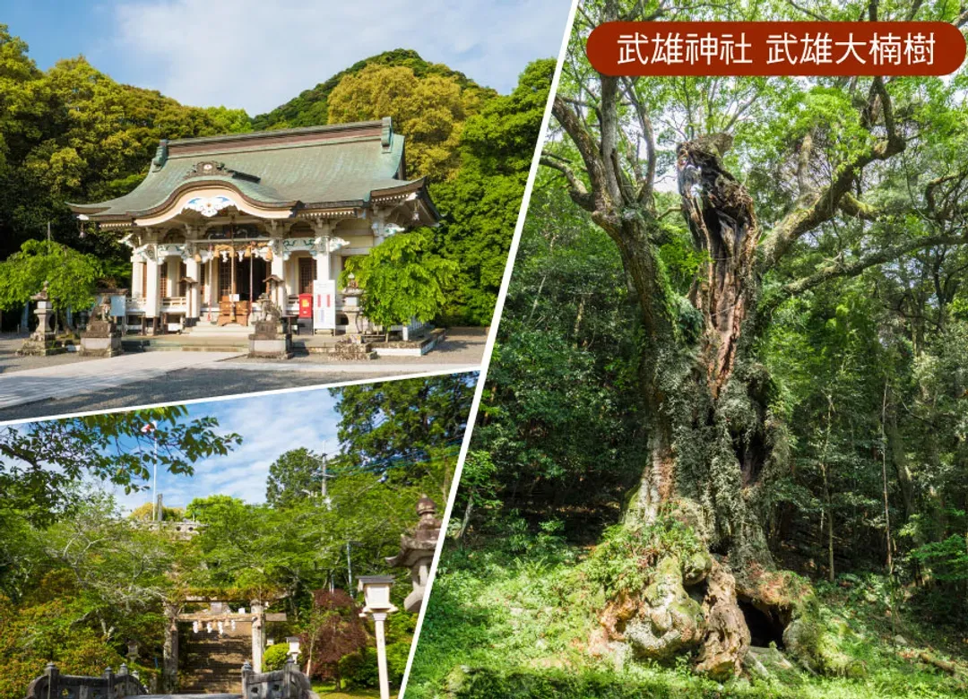 楓遊元氣九州5日.御船山樂園.大興善寺.環境藝術之森.寶満宮竈門神社.耶馬溪.湯布院金鱗湖.別府溫泉(大分進佐賀出)-9