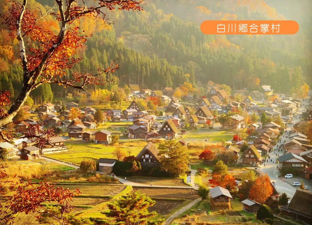 早鳥優惠兩千北陸楓紅醉染立山黑部秘境5日.哆啦A夢電車.上高地.米其林合掌村.金澤兼六園.溫泉飛驒牛.(小松進名古屋出)-7