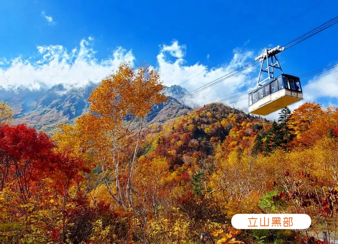 早鳥優惠兩千北陸楓紅醉染立山黑部秘境5日.哆啦A夢電車.上高地.米其林合掌村.金澤兼六園.溫泉飛驒牛.(小松進名古屋出)