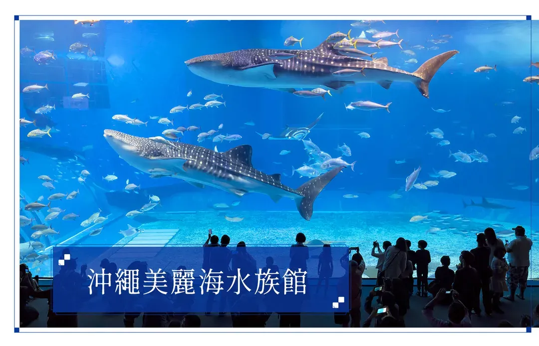 【高雄出發．玩翻沖繩無購物４日】瀨長島、美麗海水族館、星野下午茶、系滿漁、波上宮[含稅簽]-5