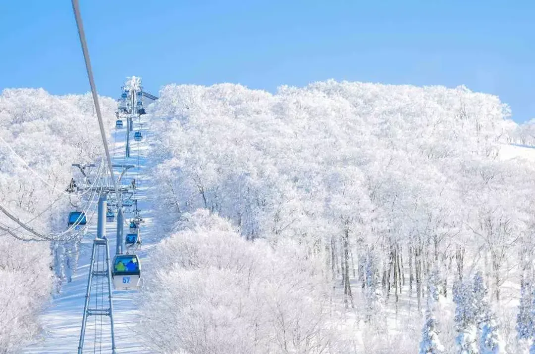 【森吉山樹冰．東北海陸空５日】銀山溫泉、猊鼻溪雪見舟、秋田鐵道、戲雪趣、螃蟹吃到飽、仙台牛舌[含稅]