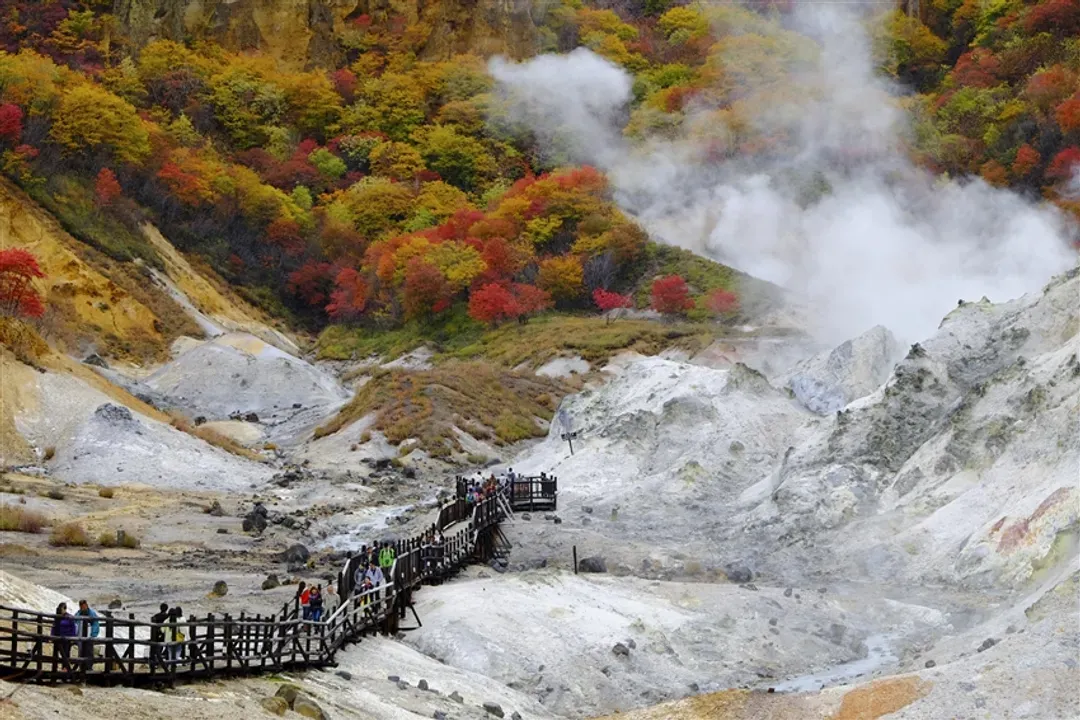 618旅遊年中祭．北海道｜函館纜車.尼克斯海洋公園.浪漫小樽.長腳蟹吃到飽.溫泉六日｜【高雄直飛】-9