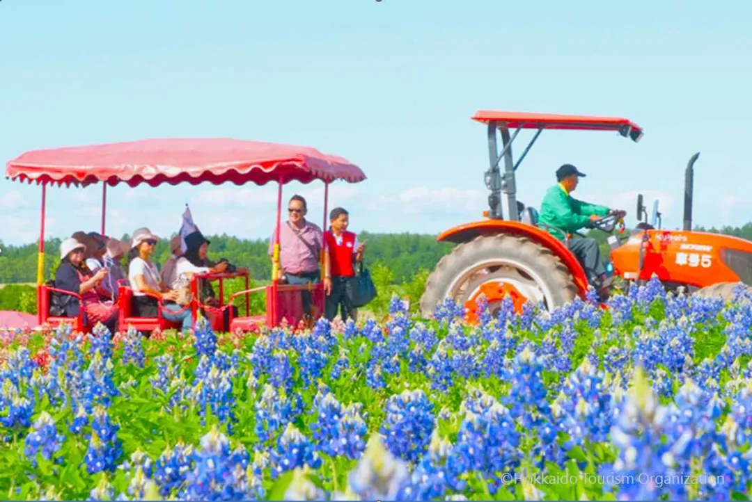写真提供：Hokkaido Tourism Organization/禁止轉載-三大體驗活動