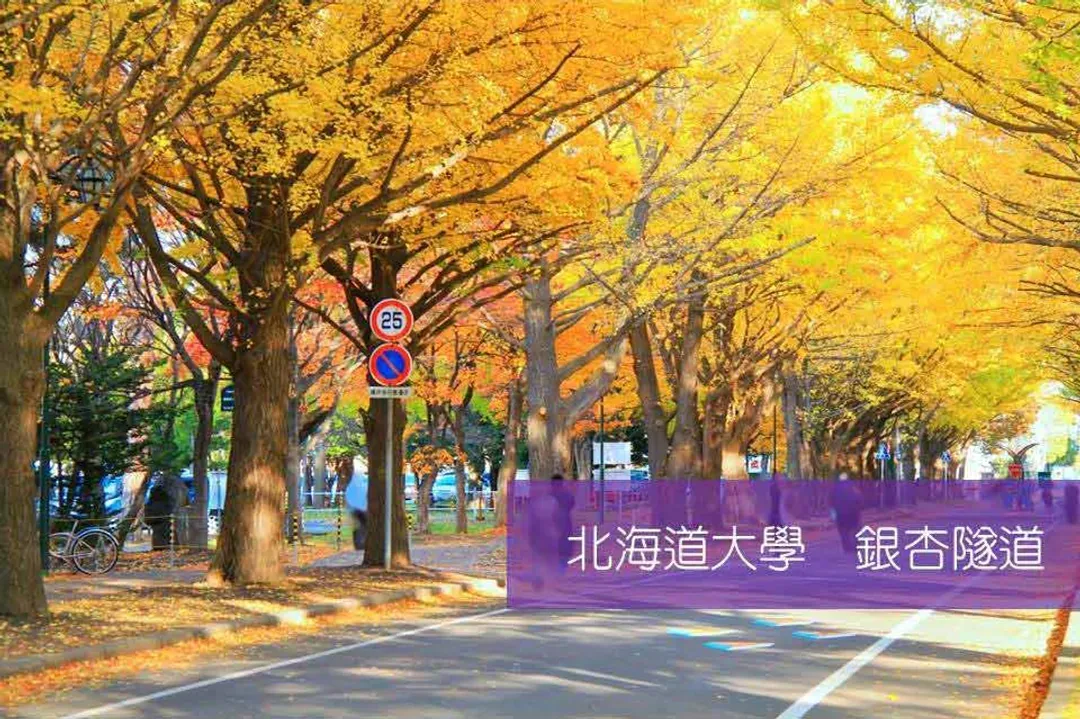 精選秋季亮點