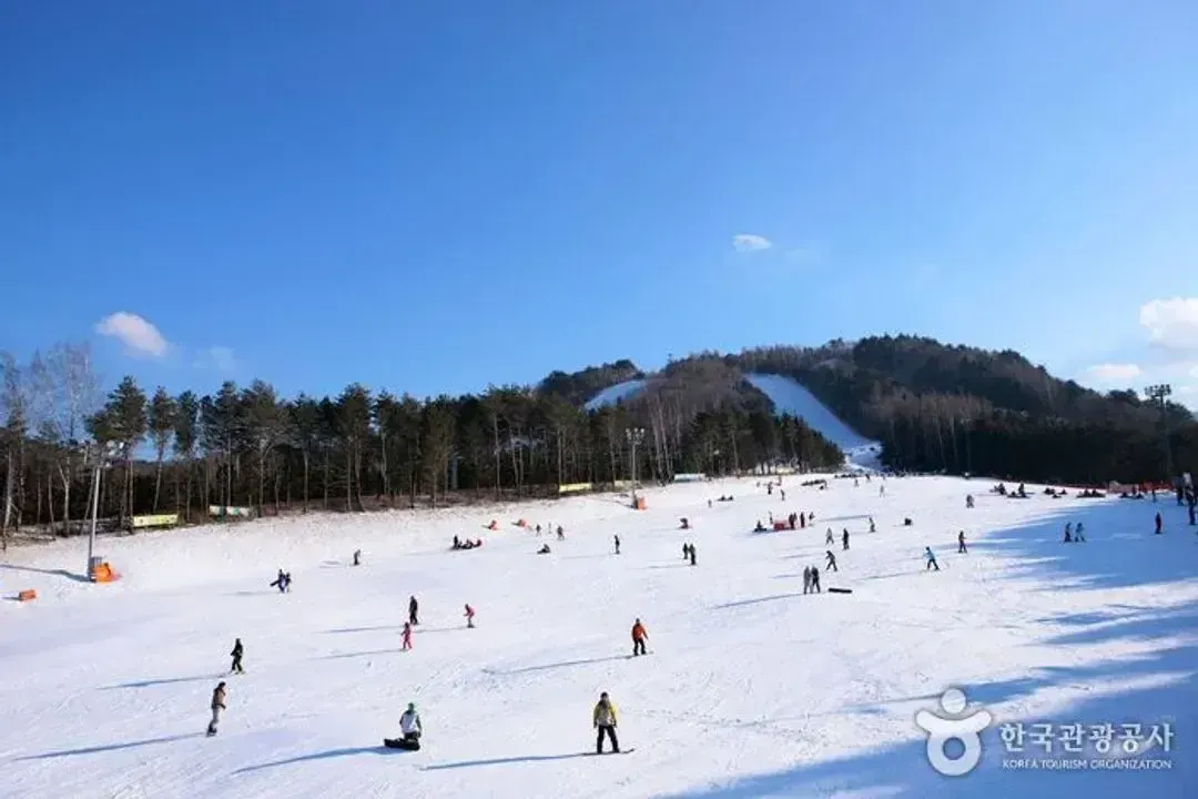 【加購專用】韓國FUN SKI 龍平度假村四日遊 - 升級1 : 6 台灣教練課-6