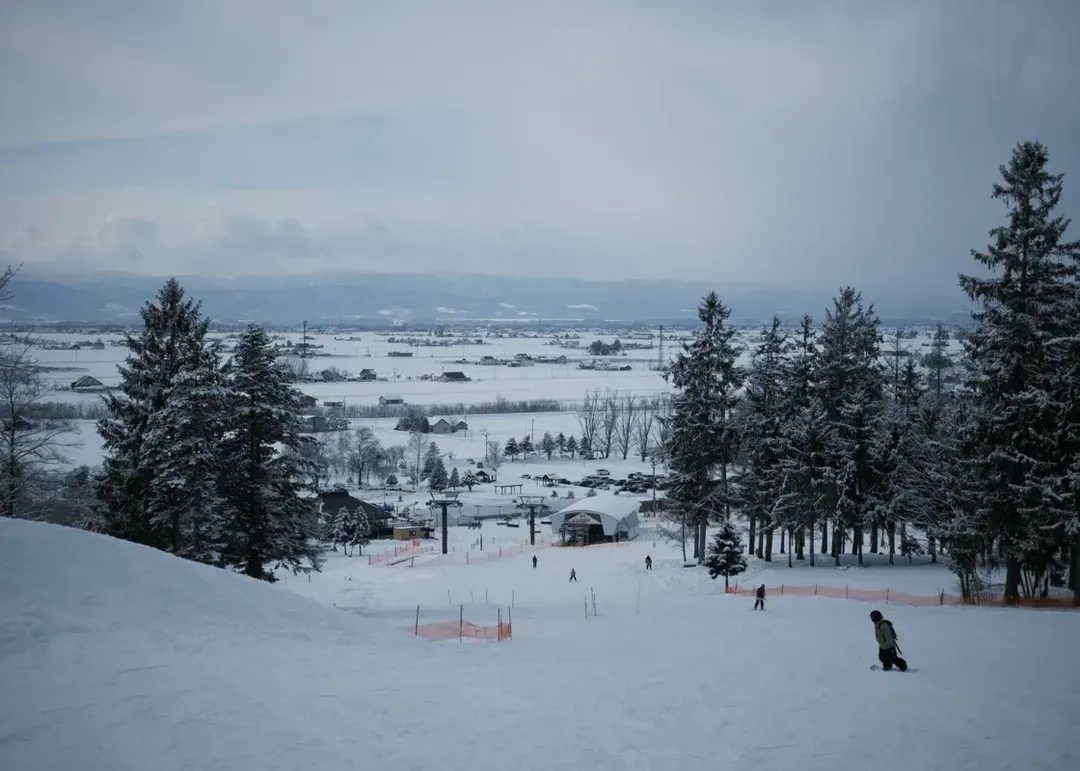 【湯澤/藏王/旭川地區滑雪】湯澤(岩原、湯澤中里)、藏王、旭川(聖誕禮物）滑雪場(四擇一) ｜團體中文教練全日課程-7