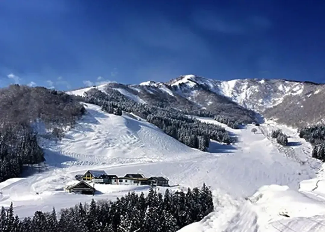 【湯澤地區滑雪】岩原、神立、湯澤中里 滑雪場(三擇一) ｜私人中文教練全日課程-5