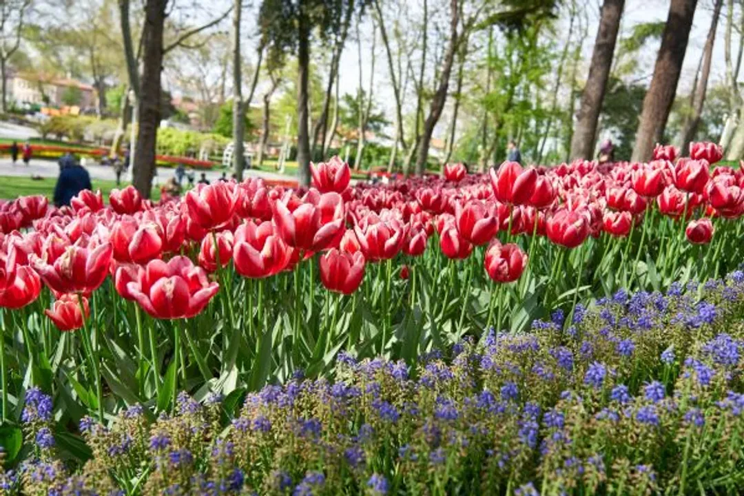【鬱金香花季、中段搭機、熱氣球升空】安塔利亞風情、兩晚洞穴風格飯店、乙晚希爾頓飯店11日-8