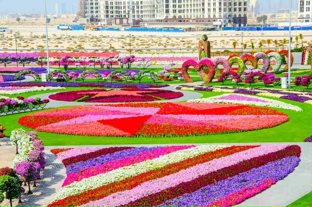 奇蹟花園、未來博物館