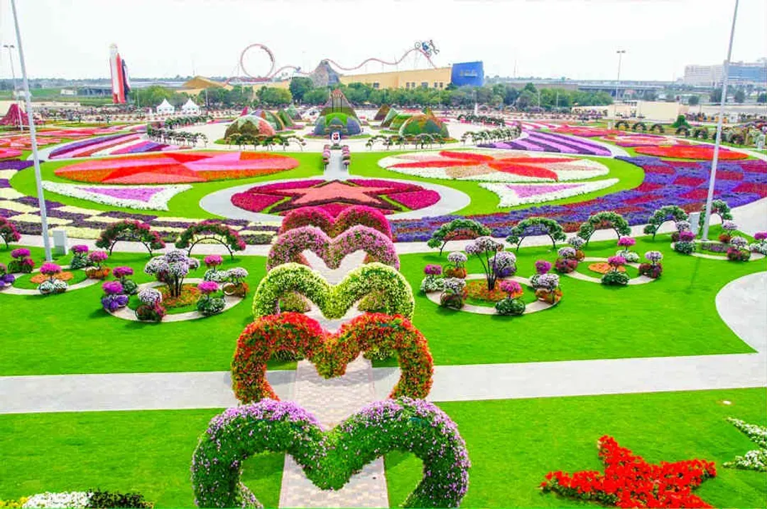 奇蹟花園、未來博物館