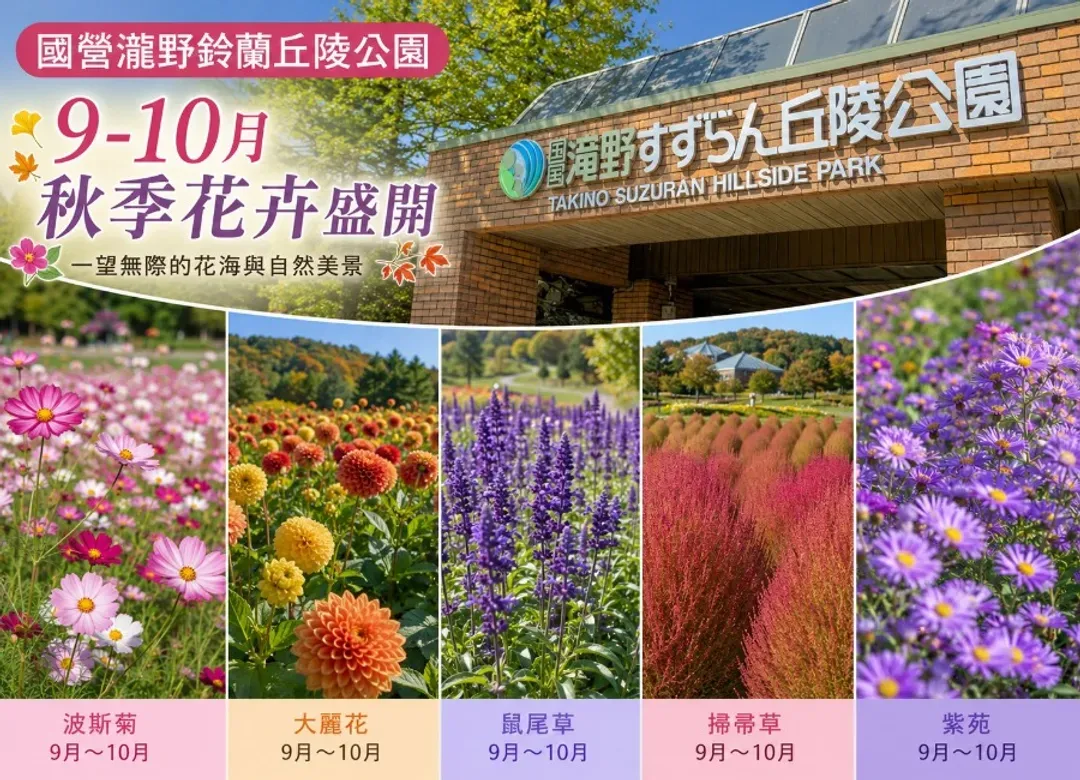 愛上北海道溫泉5日.紅葉絕景.鈴蘭秋香.可愛企鵝.豐平峽楓葉.洞爺花火.定山溪彩燈節.螃蟹饗宴.升等雙溫泉-6