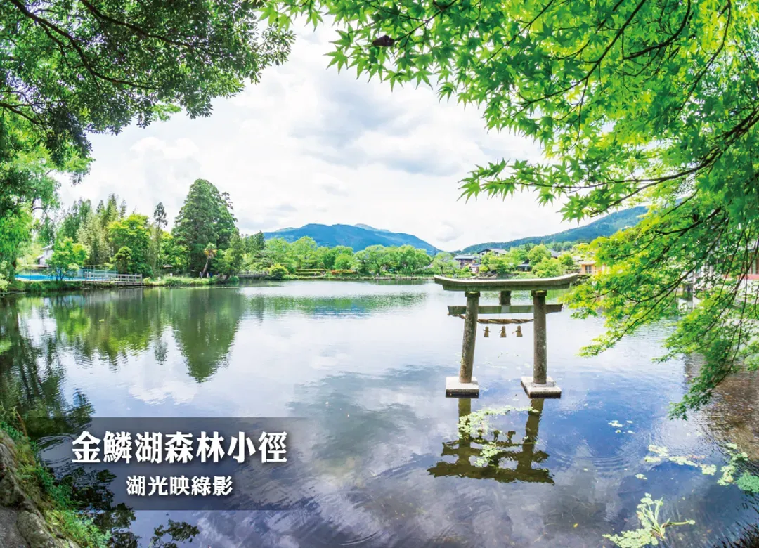 【限定出發】台中直飛經典北九州6日.入住別府溫泉.自然動物園.由布院之森列車.旅人列車.海之中道海濱花卉-7