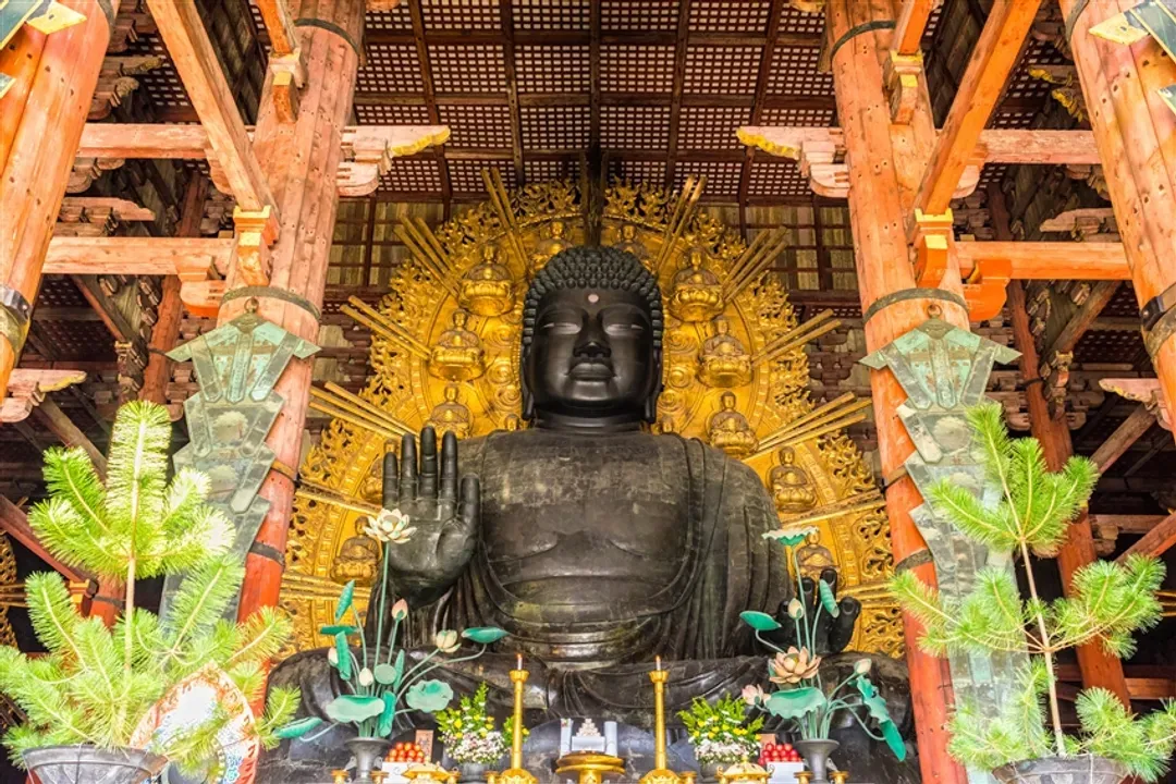 每月一物.關西旅遊｜和歌山鄉間電鐵.和歌山城.醬油見學.日式老酒藏五日｜台中出發-8