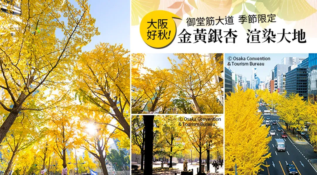 undefined-1