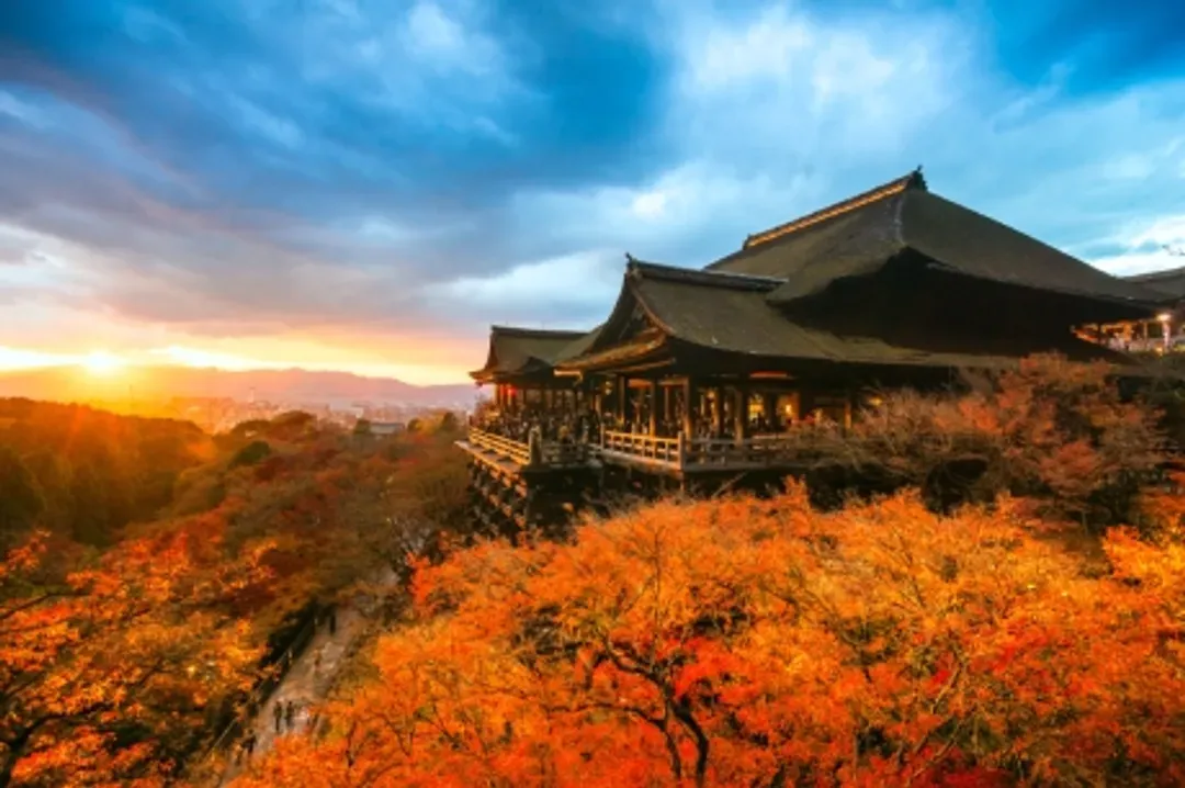 清水寺楓葉