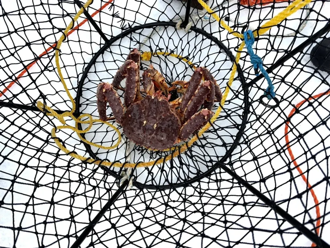 春節折5000|經典星空璀璨北歐冰島芬蘭極光12日|冰島、芬蘭拉普蘭經典之旅-14