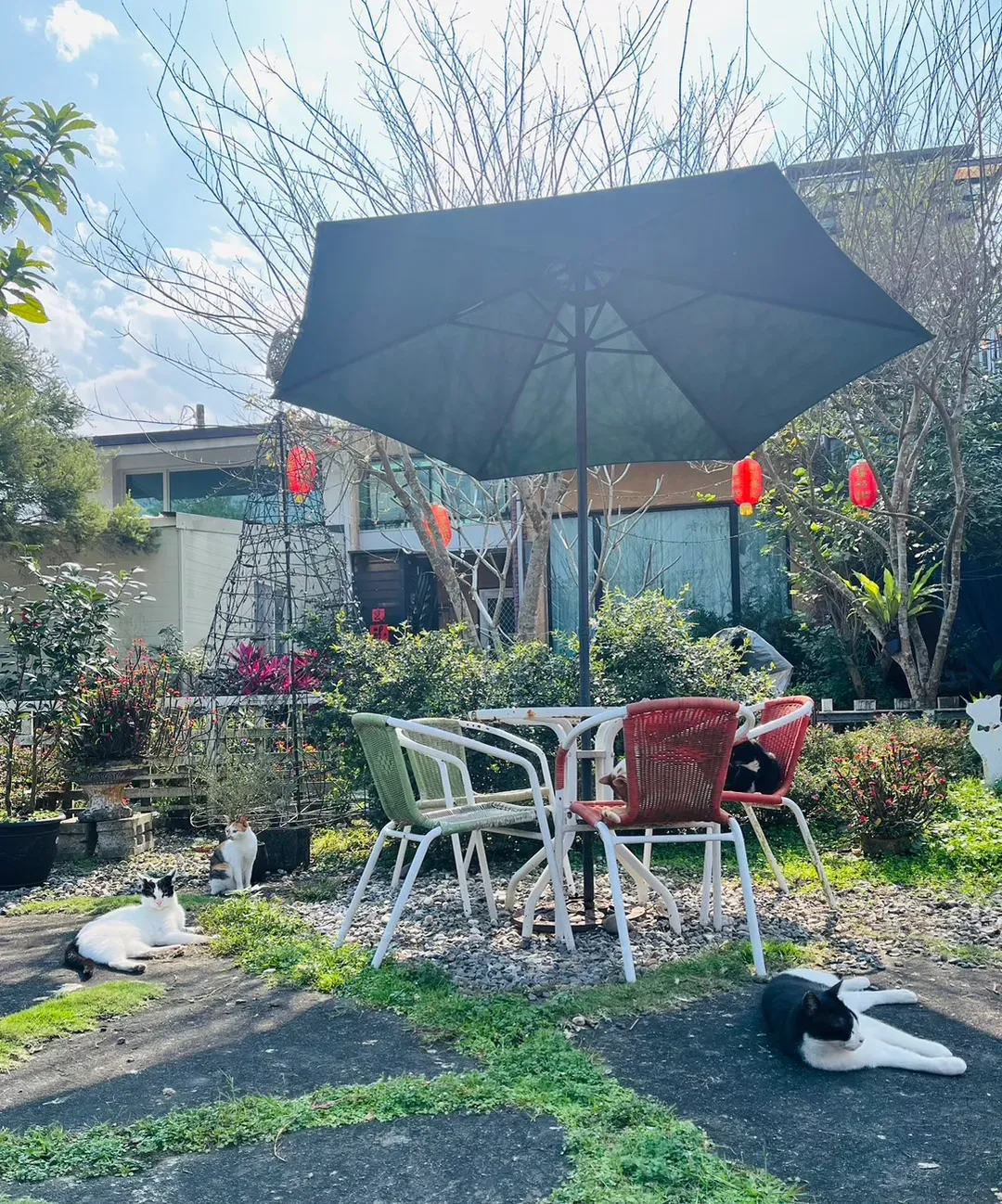 猫天空宠物乡村民宿