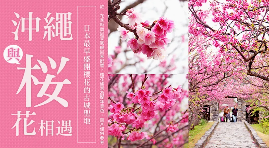 迎春折2,000｜今歸仁城賞櫻.美國村冬季彩燈.美麗海水族館、玉泉洞、波上宮、系滿魚市場四日