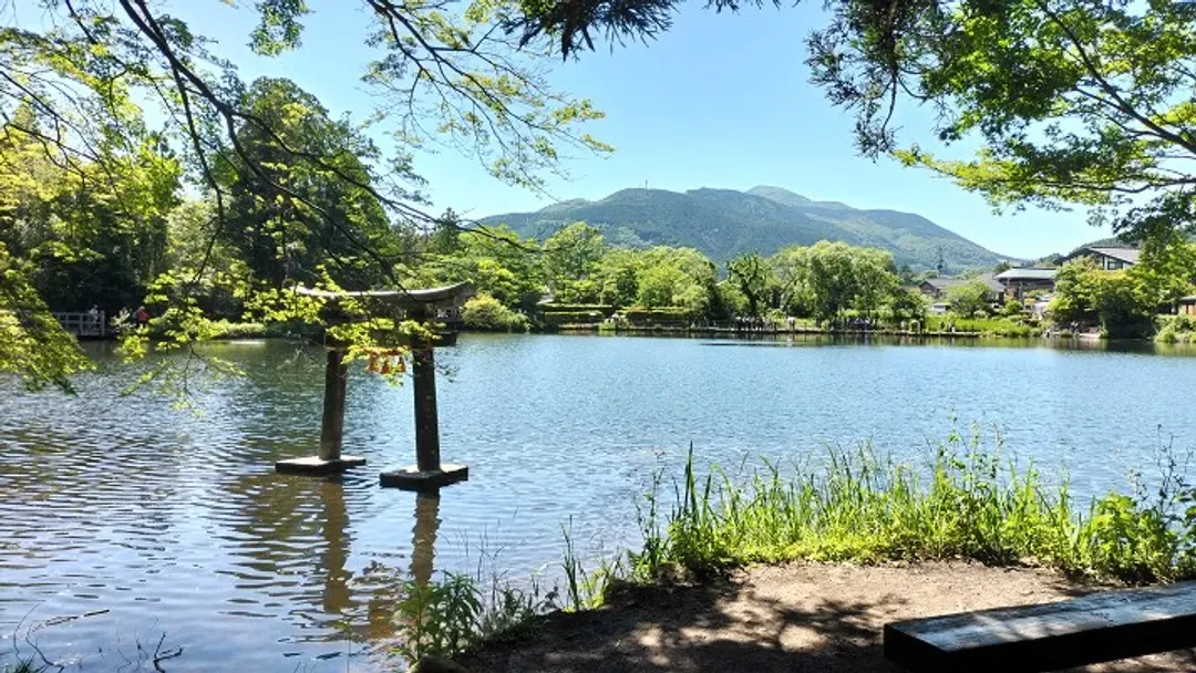 草莓