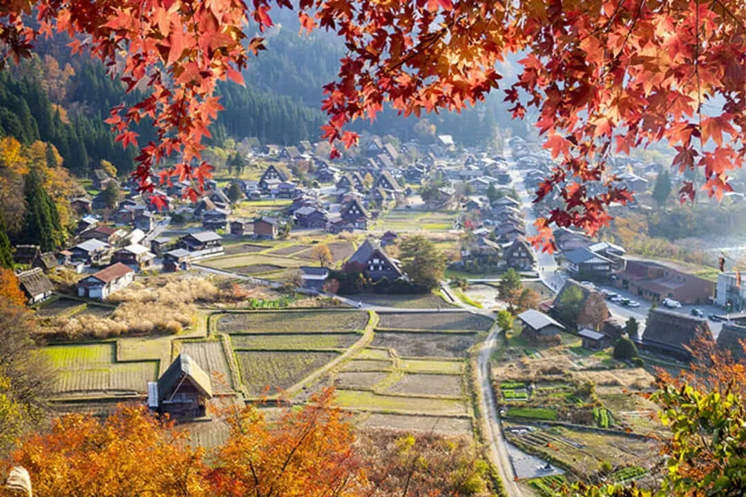北陸漫遊｜紅葉秘境｜上高地.童話合掌村.高山古街.馬籠宿.兼六園.東茶屋街.飛驒牛溫泉六日｜台中出發