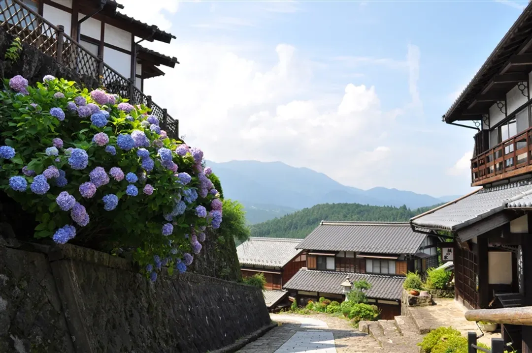 三零深度北陸全覽8日｜連休免小費｜日航立山賞楓～三大名湯下呂水明館！上高地輕健行.馬籠宿.飛驒高山.合掌村.兼六園.遊船.鰻魚&和牛美食巡禮-6