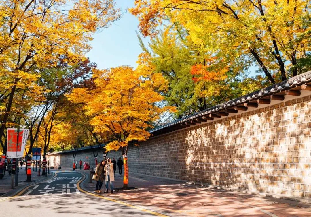 旅展優惠|韓楓再起|首爾|楓紅湖景.秋天金黃銀杏街道.濃濃秋意樂天世界+石村湖.秋楓首爾塔.明洞半日自由逛四日-6