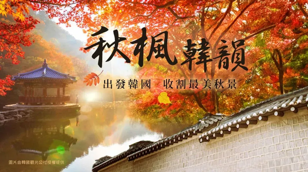 旅展優惠|韓楓再起|首爾|楓紅湖景.秋天金黃銀杏街道.濃濃秋意樂天世界+石村湖.秋楓首爾塔.明洞半日自由逛四日-7