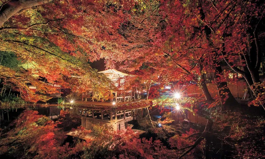 undefined-2