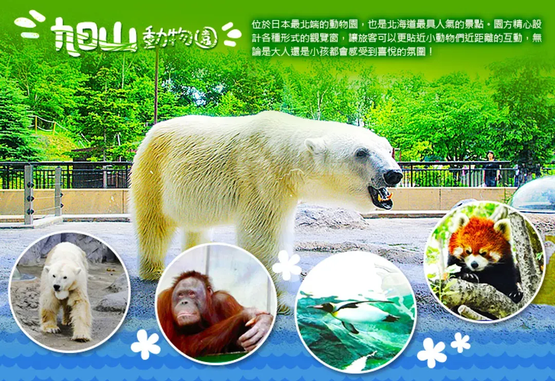 undefined-1