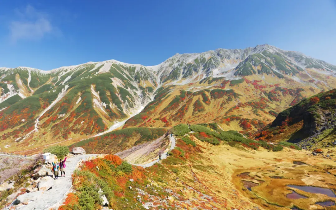 北陸旅遊｜台灣虎航｜楓紅立山黑部.童話合掌村上展望台.兼六園.上高地健行.波波球掃帚草.名古屋城五日｜高雄來回-8