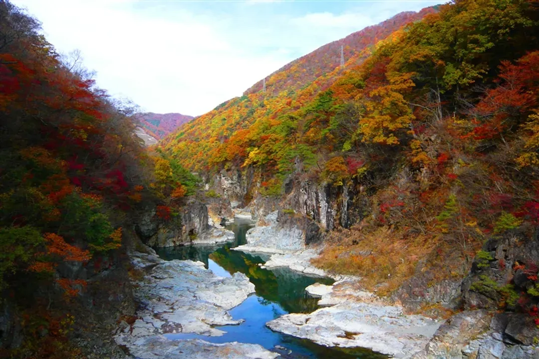珍稀旅│東北賞楓獨家企劃只見線SATONO專列│會津若松.東北伊勢熊野大社.日光鬼怒川.猪苗代湖遊船.溫泉三鐵道7日-7