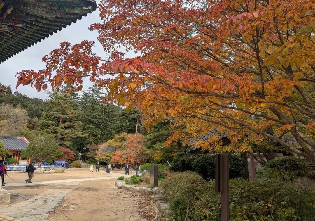 推薦景點